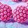 HPV Virus Warts