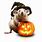 Halloween Rat