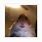 Hamster FaceTime Meme PFP
