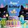 Happy Birthday Black Cat