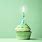 Happy Birthday Green Cupcake