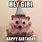 Happy Birthday Hedgehog Meme