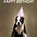 Happy Birthday Tomorrow Dog