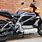 Harley Electric Motorcycles for Adults