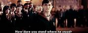 Harry Potter Meme How Dare You Stand Where He Stood