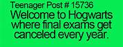 Harry Potter Teenager Posts