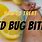 Healing Bed Bug Bites