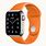Hermes Apple Watch SportBand