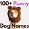 Hilarious Dog Names