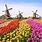 Holland Attractions