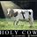 Holy Cow Image Funny
