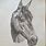 Horse Pencil Drawings Art