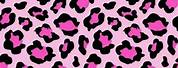 Hot Pink Cheetah Print Background