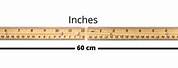 How Big Is 50 by 60 Cm