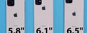 How Tall Is a iPhone 11 in Inches