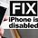 How to Open Disabled iPhone