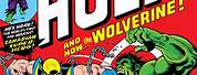 Hulk vs Wolverine Comic Book