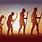 Human Evolution Background