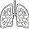 Human Lungs Coloring Page