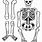 Human Skeleton Print Cut Outs