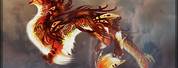 Hybrid Dragon Phoenix Mythology