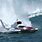 Hydroplane Boat Racing
