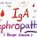 IgA Nephropathy Berger's Disease