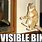 Invisible Bike Cat