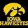 Iowa Hawkeye Tigerhawk