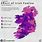 Irish Potato Famine Map