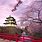 Japanese Temple Cherry Blossom