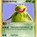 Kermit the Frog Pokemon Card