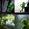 Kermit the Frog Waiting Meme