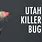 Killer Bug Fly