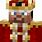 King Steve Minecraft Skin