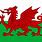 Kingdom of Wales Flag