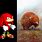 Knuckles Real Life