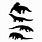 Komodo Dragon Silhouette