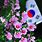 Korean Traditional Flower