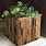 Large Bamboo Planters