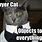 Lawyer Cat Meme