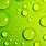 Lime Green Phone Wallpaper