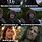 Lotr Hobbit Memes