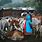 Maasai Cows