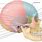 Mandibular Fossa Anatomy