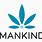 Mankind Cannabis Logo
