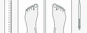 Measure Foot Shoe Size