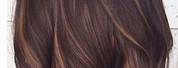 Medium Intense Brown Hair Color