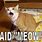 Meow Funny Cat Meme