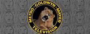 Metro Goldwyn Mayer Television Logo